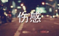 伤感美文美句摘抄