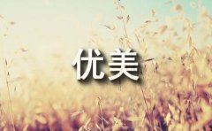 经典优美文艺句子摘录