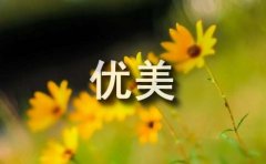 优美文艺句子摘录68条