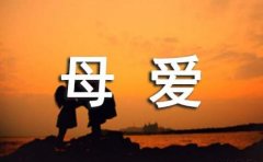母爱的唯美文案