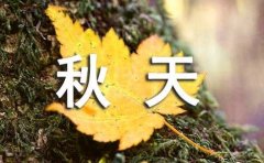 秋天的绝美文案