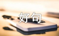 美文的好句