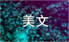 聊城的美文欣赏