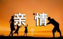 亲情美文欣赏